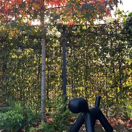 Bijzonder Stadshuis Met Diepe Moderne Tuin. * Alphen aan den Rijn