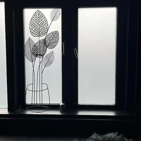 Bijzonder Stadshuis Met Diepe Moderne Tuin. Alphen aan den Rijn