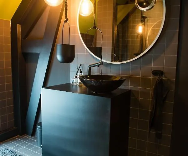 Bijzonder Stadshuis Met Diepe Moderne Tuin. * Alphen aan den Rijn