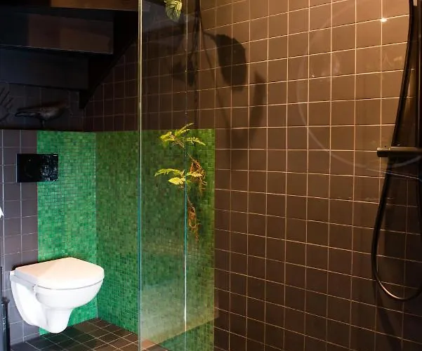 Bijzonder Stadshuis Met Diepe Moderne Tuin. Alphen aan den Rijn