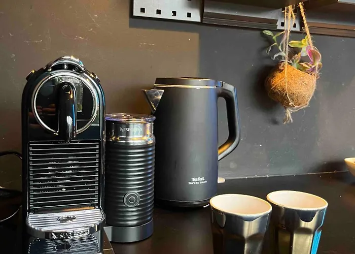 Bijzonder Stadshuis Met Diepe Moderne Tuin.