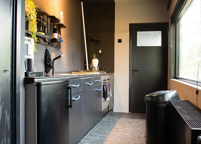 Bijzonder Stadshuis Met Diepe Moderne Tuin. * Alphen aan den Rijn