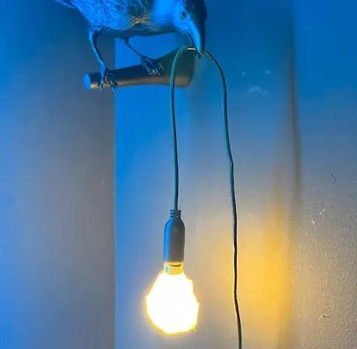 Bijzonder Stadshuis Met Diepe Moderne Tuin. Alphen aan den Rijn